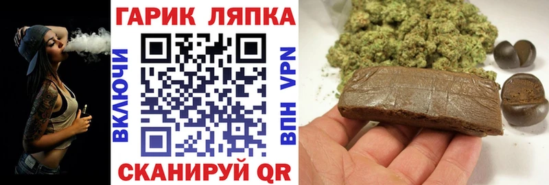Купить закладки  Ленск  Гашиш Premium 