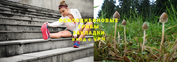метадон Сатка