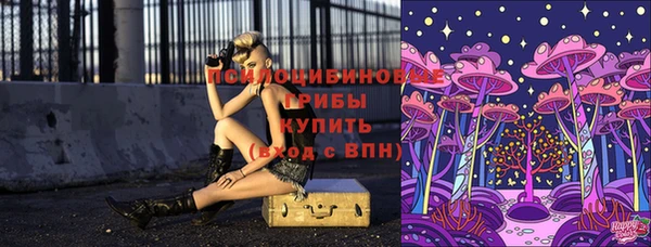 метадон Сатка
