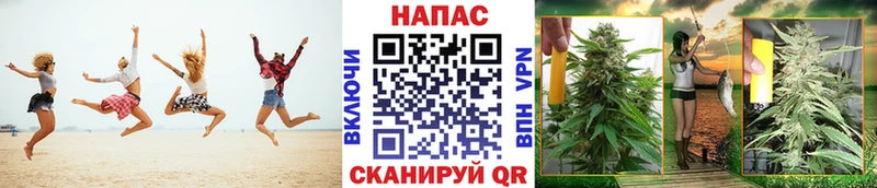 Шишки марихуана сатива  Купить где  Ленск 